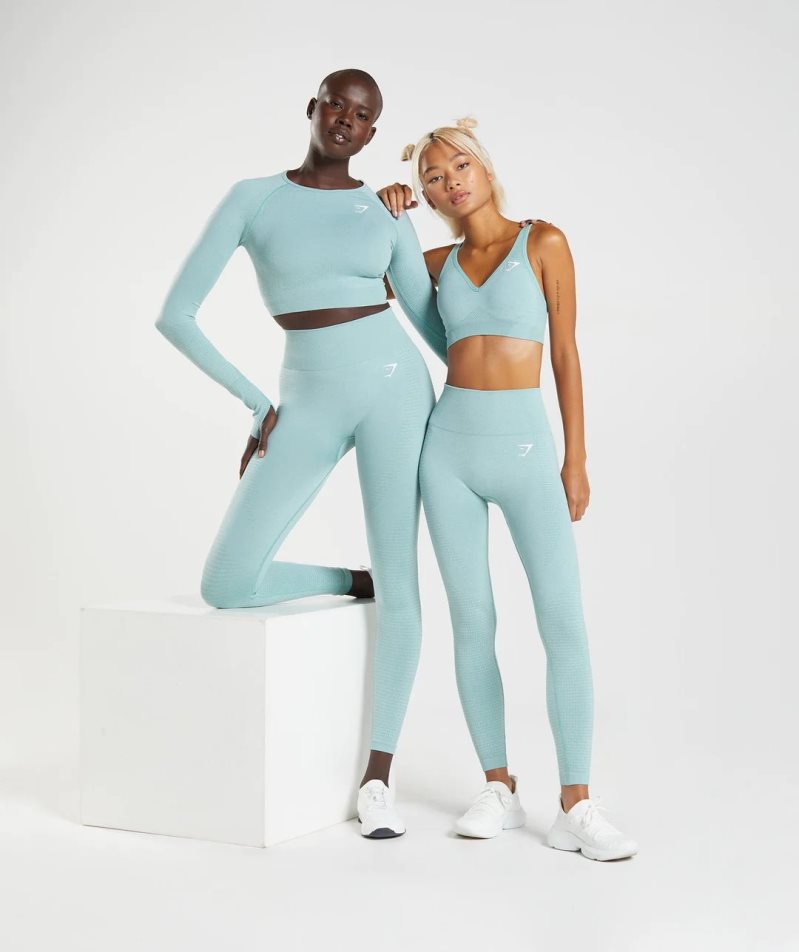 Women's Gymshark Vital Seamless 2.0 Leggings Light Blue | CA 6N3DA7